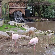 Room-tranquil Retreat in Hamoir, Belgium