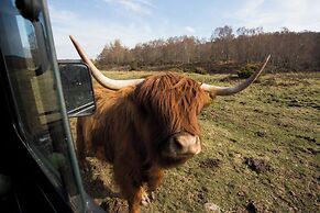 Bluebell Lodge - Sleeps 4,hot Tub, Loch & Woodland