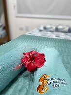 Flat 2 quartos no Dubourcq Residence