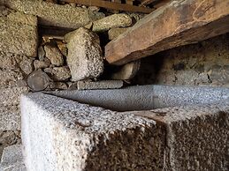 Quinta de Cypriano - Wine & Nature