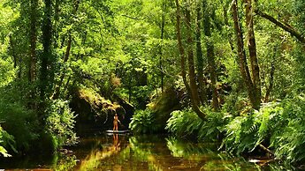 Quinta de Cypriano - Wine & Nature