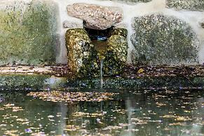 Quinta de Cypriano - Wine & Nature