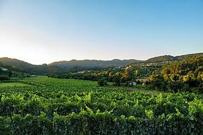 Quinta de Cypriano - Wine & Nature