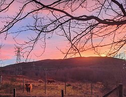 River View Cottage in Perthshire