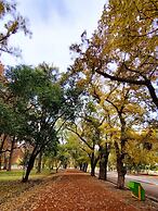 Plaza Independencia Mendoza Sol y Nieve