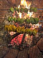 Mount Olympus Lounge