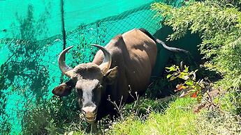 Mount Olympus Lounge