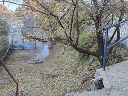 Hotel Savi Shallidrishya