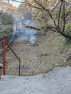 Hotel Savi Shallidrishya