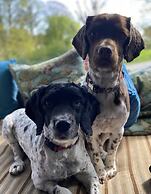 Cosy dog Friendly Self Contained Apartment With Parking