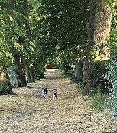 Cosy dog Friendly Self Contained Apartment With Parking