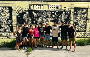 TREEBU HOSTEL