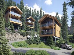 Superior Chalet With Sauna and hot tub