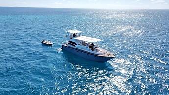 Odyssey of sunny side