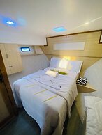 Odyssey of sunny side