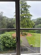 The Falcondale at Lampeter