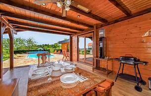Vineyard Dream Villa in Vinogradi Ludbreski