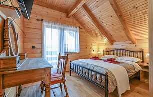Vineyard Dream Villa in Vinogradi Ludbreski