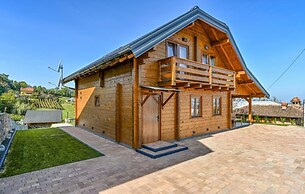 Vineyard Dream Villa in Vinogradi Ludbreski