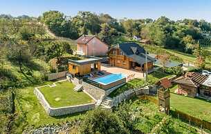 Vineyard Dream Villa in Vinogradi Ludbreski