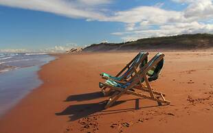 Blackbush Beach Resort