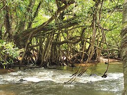 Rumah Kebun AA Jelai Hulu Ketapang