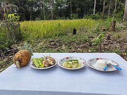 Rumah Kebun AA Jelai Hulu Ketapang