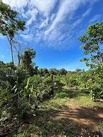 Rumah Kebun AA Jelai Hulu Ketapang