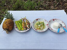 Rumah Kebun AA Jelai Hulu Ketapang