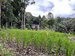 Rumah Kebun AA Jelai Hulu Ketapang