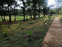 Room in B&B - Cottage In Farm House Dandeli