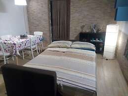 Central House Apartment