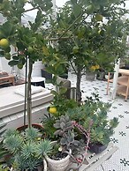 Peking Garden Boutique Hotel