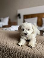 Olivina Park domy w kompleksie Spa