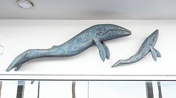 BAJA MIA SUITES AND TOURS