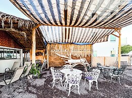 BAJA MIA SUITES AND TOURS