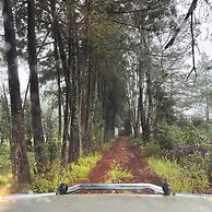 Cabañas La Victoria By GEstores