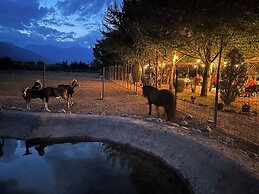 Antika Hotel