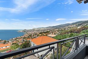 Casa Afonso in Funchal