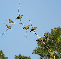 Water To Forest Ecolodge