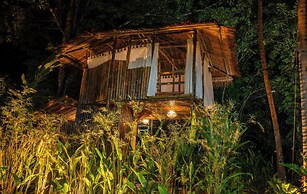 Water To Forest Ecolodge