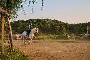 Arba Resort, Valamar Collection