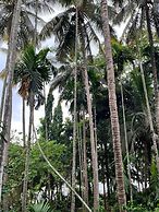 DANDELI RIVER NEST