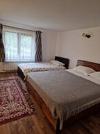 Bucovina-mountainhouse-5br-fireplace-hottub-wifi