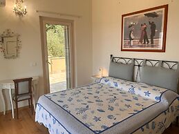 Villa Monteggiori - Camaiore Versilia