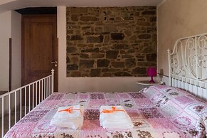 Casale I Cirillo: Primula & Iberide Florida