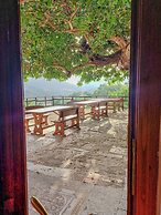 Casale I Cirillo: Primula & Iberide Florida