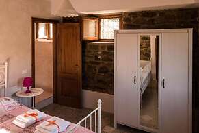 Casale I Cirillo: Primula & Iberide Florida