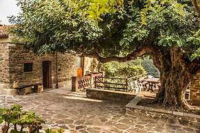 Casale I Cirillo: Primula & Iberide Florida