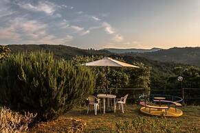 Casale I Cirillo: Primula & Iberide Florida